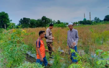 Polisi di Lombok Barat Dampingi Warga Wujudkan Swasembada Pangan