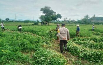 Polri Kawal Percepatan Swasembada Pangan di Lombok Barat