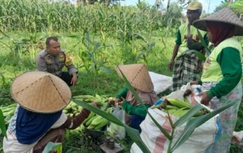 Aksi Nyata Bhabinkamtibmas Labuapi Dampingi Petani Dusun Jogot