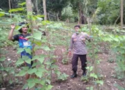 Strategi Bhabinkamtibmas Batulayar Optimalkan Lahan Pekarangan