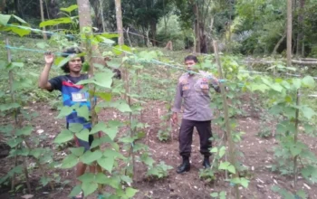 Bhabinkamtibmas Pusuk Lestari Sulap Lahan Tidur Jadi Produktif