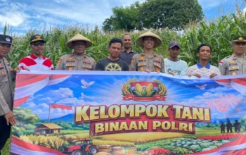 Dukung Kedaulatan Pangan, Polres Lombok Barat Bina 35 Hektar Lahan di Sekotong
