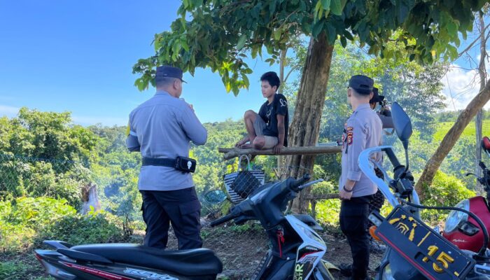 Dukung Ketahanan Pangan Nasional, BKTM Polsek Tambora dan Anggota Bakomsus Satbinmas Polres Bima Cek Pertumbuhan Jagung di Desa Labuhan Kananga