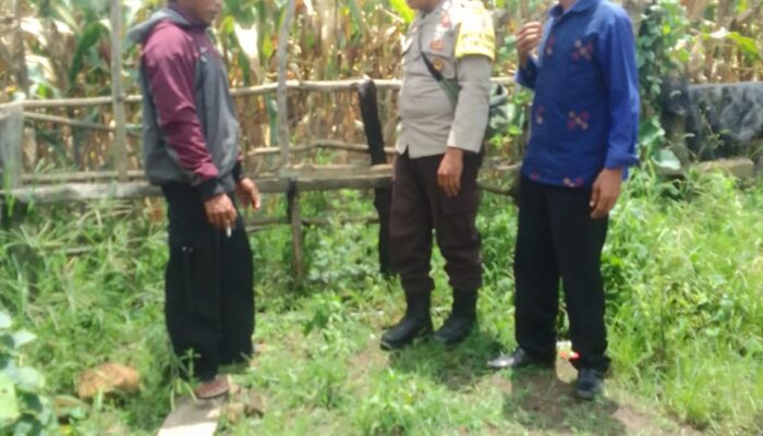 Bhabinkamtibmas Polsek Kilo Pantau Lahan Jagung Warga di Desa Taropo Dukung Program Ketahanan Pangan Nasional