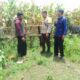 Bhabinkamtibmas Polsek Kilo Pantau Lahan Jagung Warga di Desa Taropo Dukung Program Ketahanan Pangan Nasional