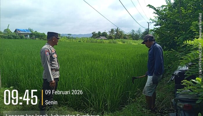 Dukung Kemandirian Pangan, Bhabinkamtibmas Desa Langam Edukasi Petani Manfaatkan Lahan Kosong