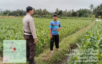 Bhabinkamtibmas Desa Korleko Cek Lahan Jagung Milik Poktan Nunas Subur