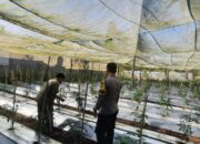 Bhabinkamtibmas Desa Kumbang Monitoring Ketahanan Pangan dan Ajak Warga Jaga Kamtibmas