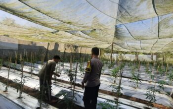 Bhabinkamtibmas Desa Kumbang Monitoring Ketahanan Pangan dan Ajak Warga Jaga Kamtibmas