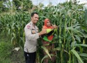 Sinergi Polri dan Petani Labuapi Manfaatkan Lahan Pekarangan