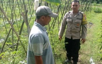 Bhabinkamtibmas Gerung Turun ke Sawah Motivasi Petani Aik Ampat