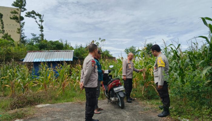 Kapolsek Sakra Kunjungi Petani Jagung, Ajak Warga Tingkatkan Ketahanan Pangan