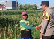 Bhabinkamtibmas Labuapi Kawal Optimalisasi Lahan Jagung di Lombok Barat