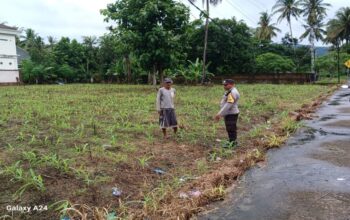 Polsek Gerung Kawal Ketahanan Pangan di Giri Tembesi