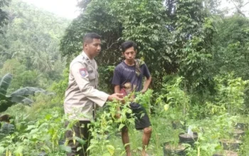 Cara Polsek Batulayar Wujudkan Kemandirian Pangan di Desa