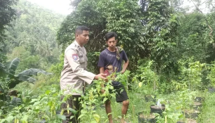 Polsek Batulayar Dorong Ketahanan Pangan di Tanah Embet Barat
