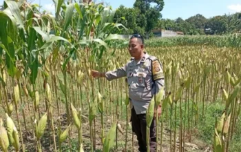 Polisi Dorong Kemandirian Pangan di Lombok Barat