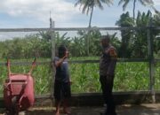 Bhabinkamtibmas Desa Kuranji Dorong Optimalisasi Lahan Produktif