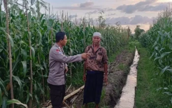 Cara Polsek Gerung Dorong Kedaulatan Pangan di Lemokek Lauk
