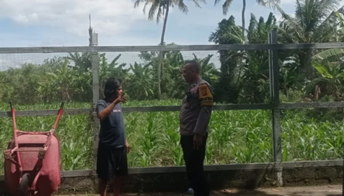 Polsek Labuapi Dorong Diversifikasi Pangan di Desa Kuranji