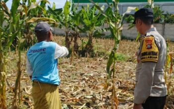 Langkah Nyata Polsek Labuapi Perkuat Ketahanan Pangan: Ajak Warga Sulap Pekarangan Jadi Kebun Produktif