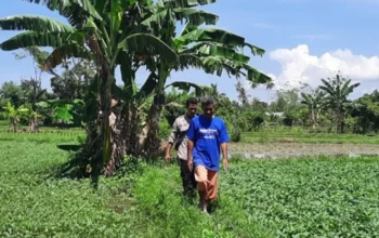 Polsek Labuapi Dorong Ketahanan Pangan Melalui Pekarangan Bergizi