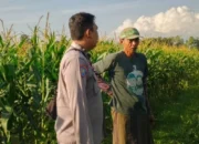 Lombok Barat Optimalkan Kedaulatan Pangan Lewat Sektor Desa