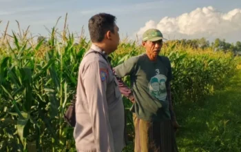 Lombok Barat Optimalkan Kedaulatan Pangan Lewat Sektor Desa