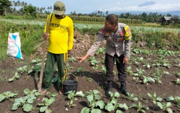 Bhabinkamtibmas Desa Bagik Papan Lakukan Silaturahmi dan Pengecekan Tanaman Warga