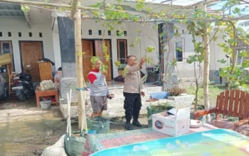 Inspiratif! Intip Cara Warga Dusun Kondak Ubah Halaman Rumah Jadi Kebun Anggur Produktif