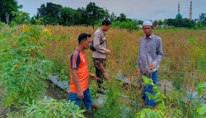 Polres Lombok Barat Dorong Diversifikasi Pangan, Warga Desa Perampuan Jaga Stabilitas Ekonomi Lewat Pertanian Terpadu