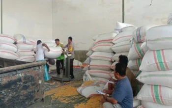 Polsek Gerung Kawal Distribusi Jagung di Desa Beleke