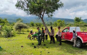 Sinergi Tiga Pilar, Cegah Pembalakan dan Perburuan Liar, Polsek Tambora Menggelar Patroli Gabungan di TN Tambora