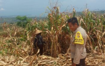 Melalui Silaturahmi, Bhabinkamtibmas Taropo Perkuat Sinergi Polri dan Masyarakat
