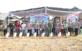 *Penanaman Jagung Serentak Kuartal I 2026 Dukung Program Asta Cita*