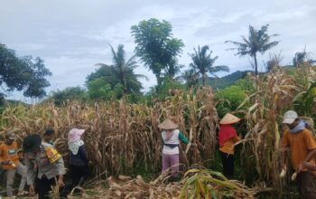 Perkuat Sinergitas, Bhabinkamtibmas Desa Tolo’oi Sambangi Tokoh Masyarakat di Dusun Batu Mas