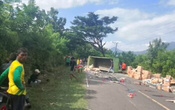 TRUK PENGANGKUT OBAT PERTANIAN TERGULING DI PAJO, POLISI SIGAP AMANKAN LOKASI