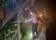 Quick Response Layanan 110, Pamapta Polres Bima Kabupaten Evakuasi Pohon Tumbang di Desa Donggobolo