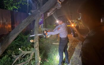 Quick Response Layanan 110, Pamapta Polres Bima Kabupaten Evakuasi Pohon Tumbang di Desa Donggobolo