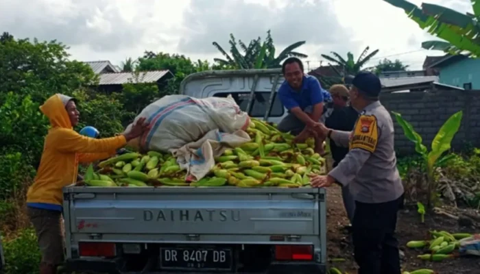 Langkah Nyata Polri di Lombok Barat: Jamin Kelancaran Rantai Pasok Pangan dari Desa ke Pasar