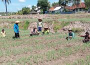 Bhabinkamtibmas Desa Wanasaba Lakukan Sambang dan Sosialisasi Program Pemerintah