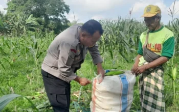 Upaya Polri Wujudkan Ketahanan Pangan Nasional di Desa
