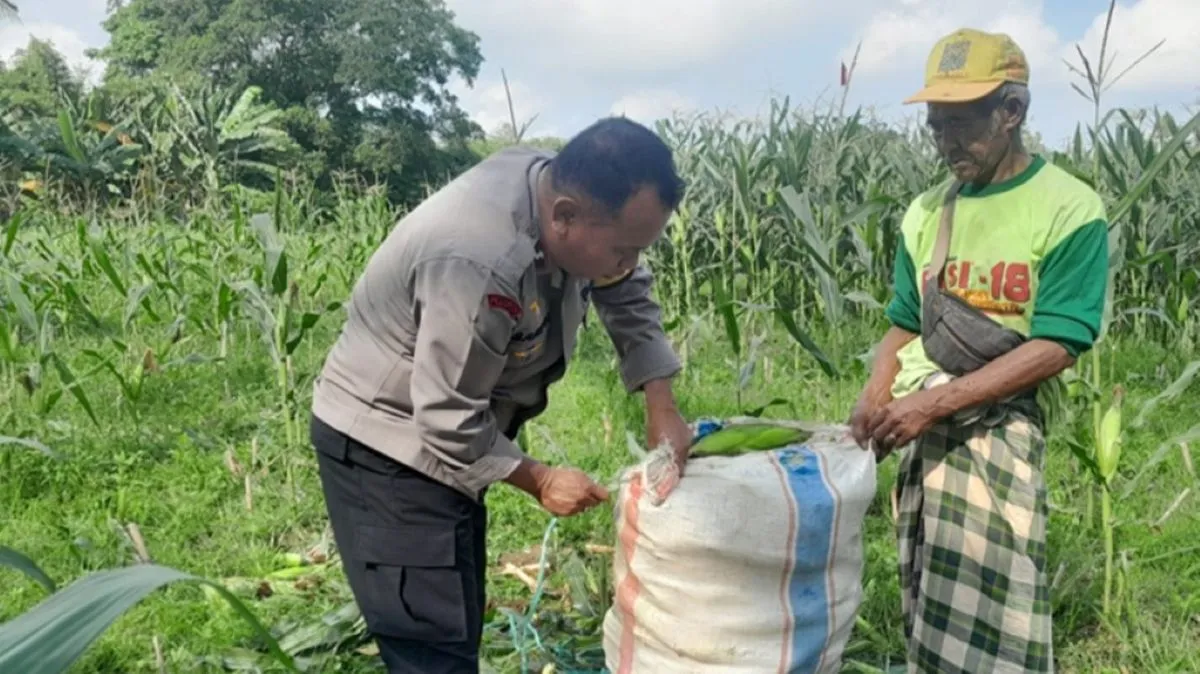 Upaya Polri Wujudkan Ketahanan Pangan Nasional di Desa
