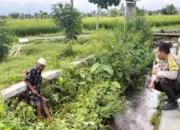 Polsek Labuapi Turun ke Sawah, Pastikan Petani Merasa Aman Saat Garap Lahan
