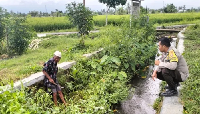 Polsek Labuapi Turun ke Sawah, Pastikan Petani Merasa Aman Saat Garap Lahan