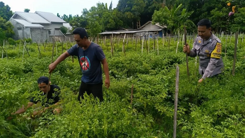 Polsek Labuapi Perkuat Ketahanan Pangan di Desa Perampuan