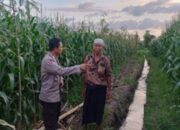 Bhabinkamtibmas Gerung Kawal Ketahanan Pangan Nasional