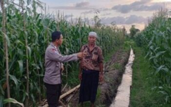 Sinergi Polri dan Warga Gerung: Mengoptimalkan Potensi Lokal untuk Menjaga Ketahanan Pangan Nasional