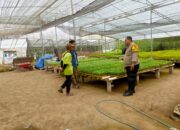 Bhabinkamtibmas Desa Jelantik Dorong Warga Manfaatkan Pekarangan Bergizi