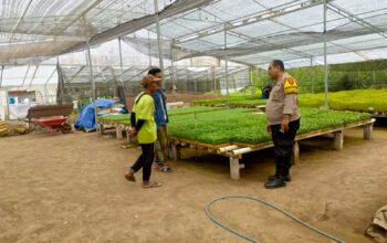 Bhabinkamtibmas Desa Jelantik Dorong Warga Manfaatkan Pekarangan Bergizi